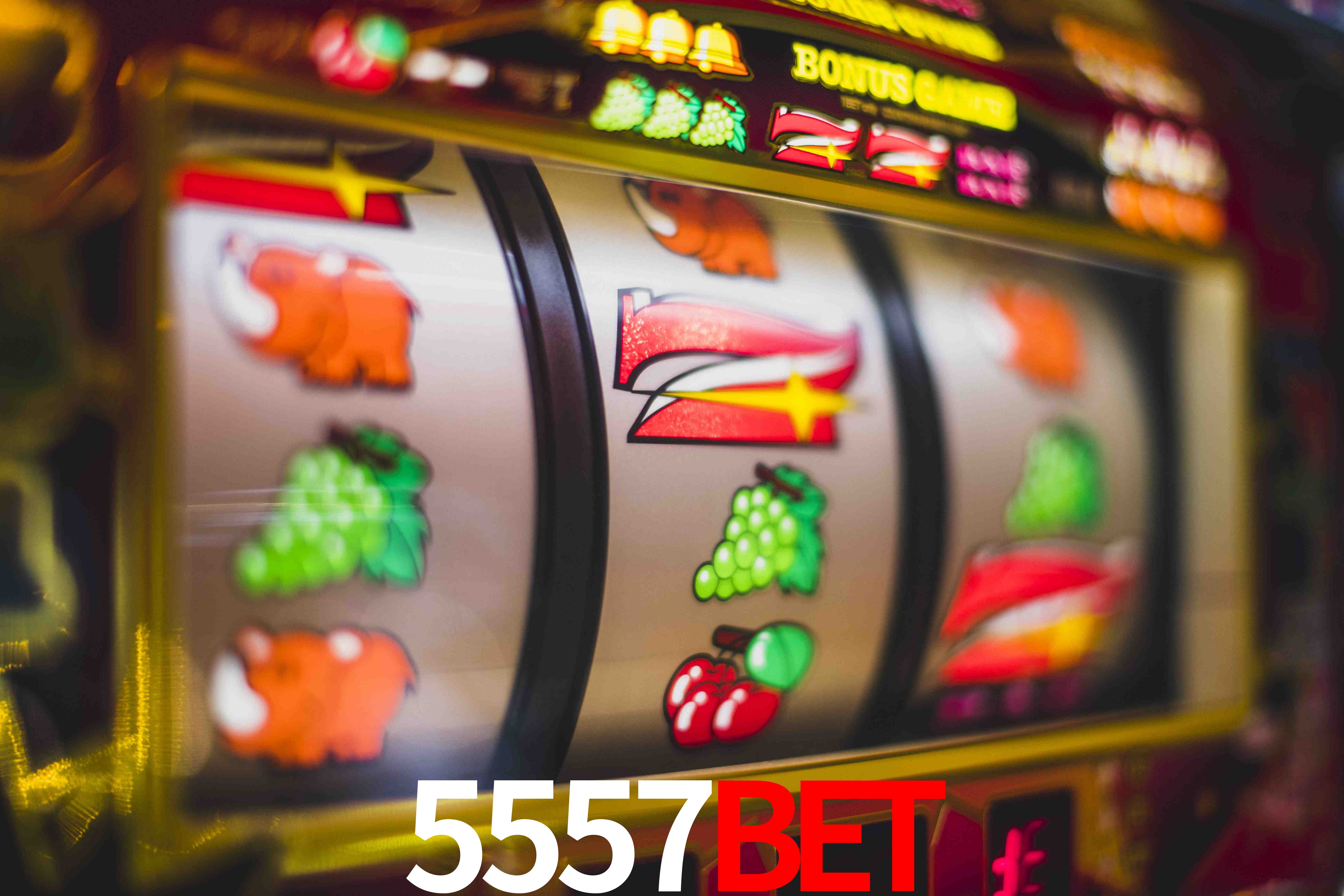 Tennis Betting 5557bet